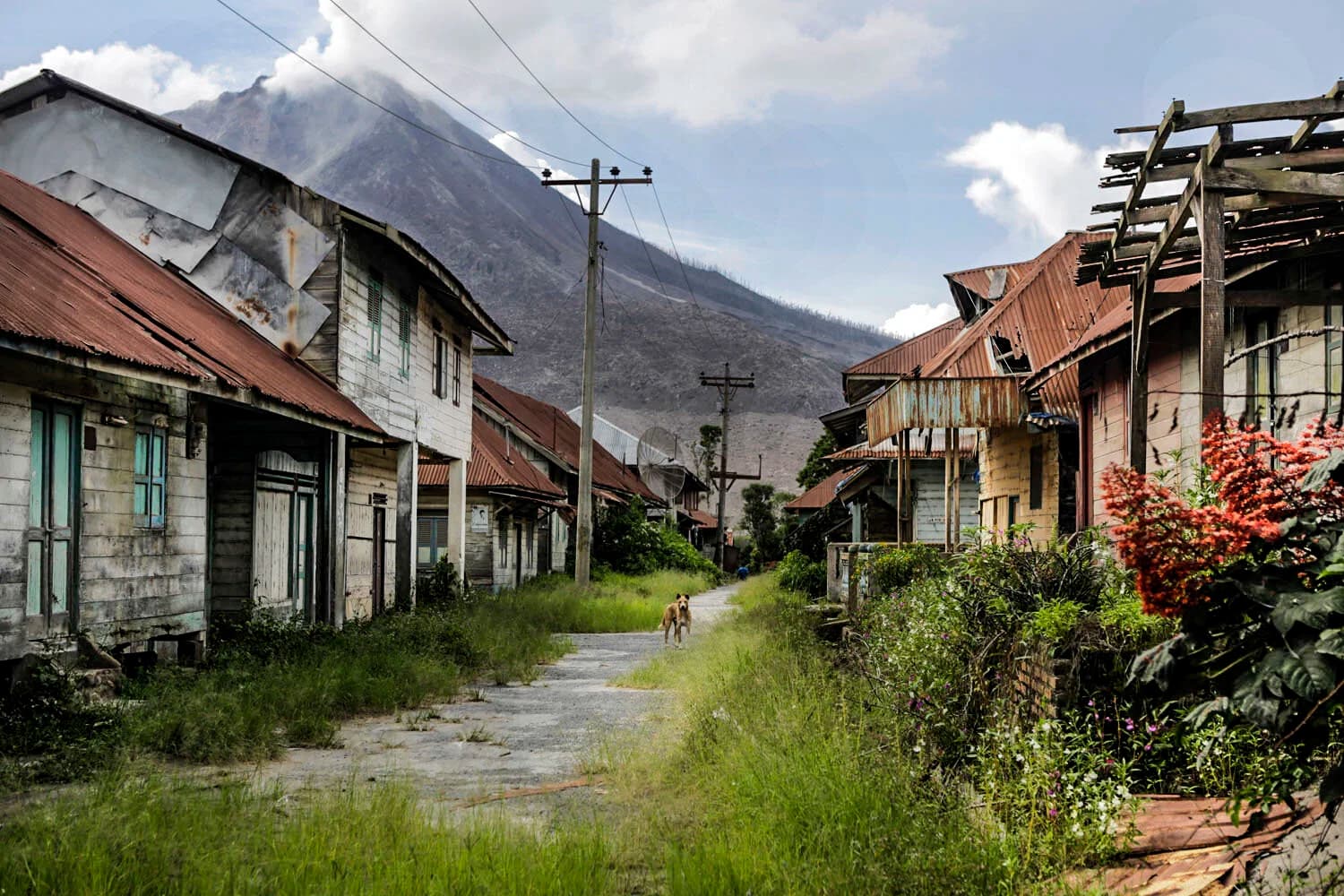 Bukit Lawang – Berastagi Highland Tour