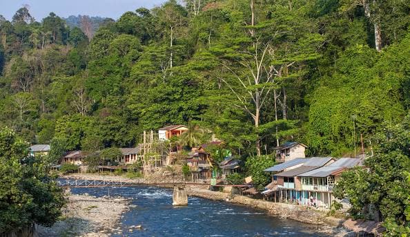 Medan Surroundings Tour to Bukit Lawang